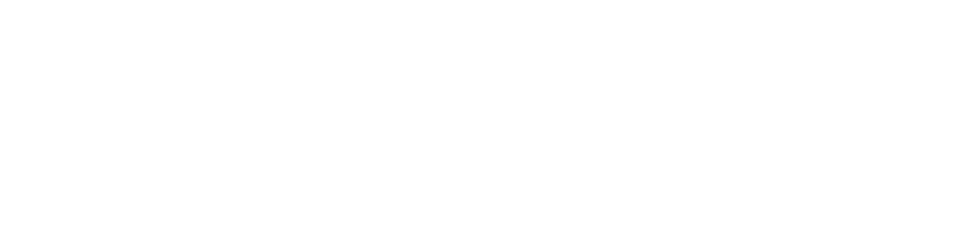 Nexus Solutions International DE